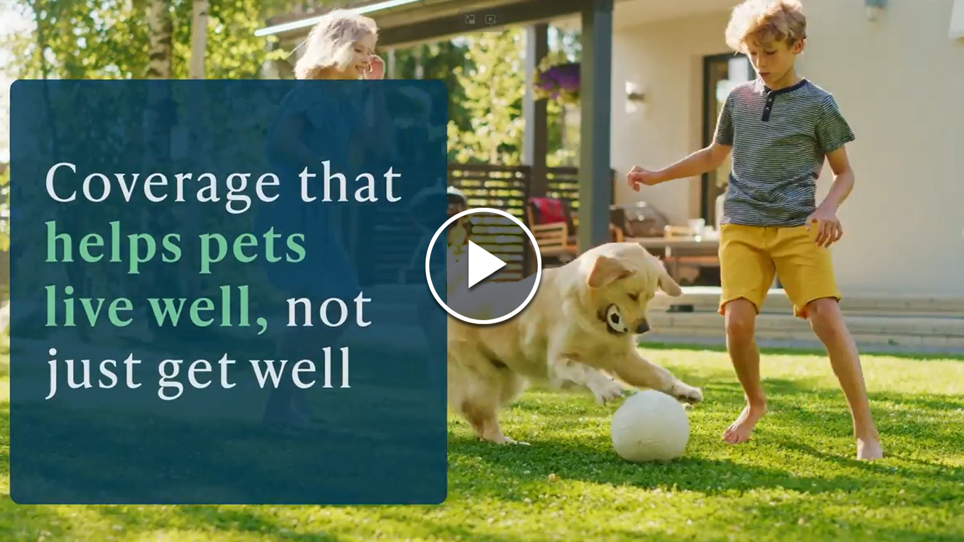 Pet video