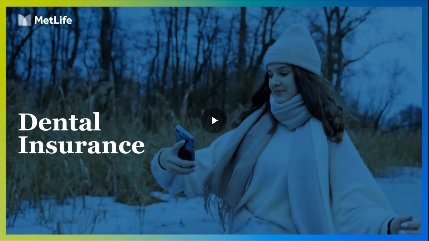 MetLife Dental Insurance