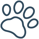 Pet Insurance